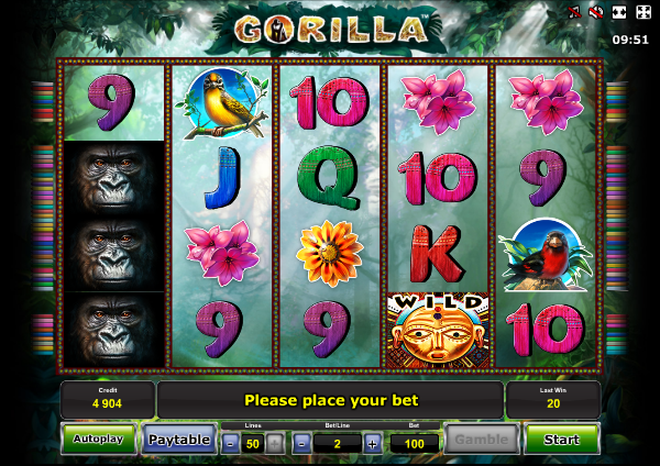 Gorilla