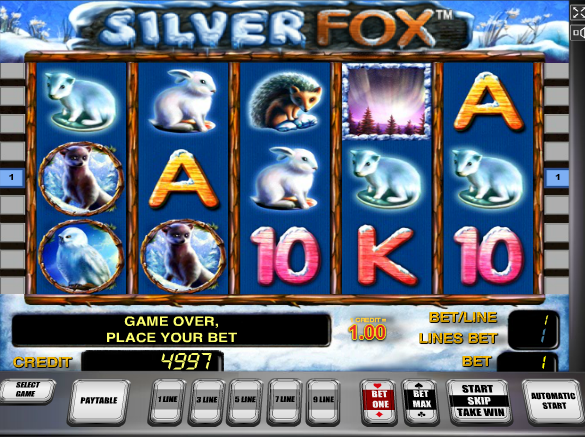 Silver Fox Novomatic