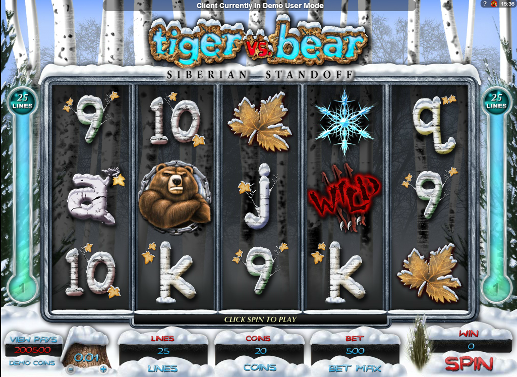Tiger vs Bear