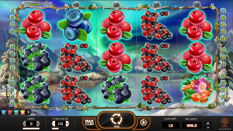 Winterberries