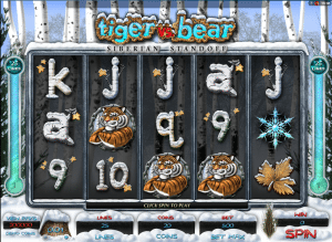 Free Tiger vs Bear Slot Online