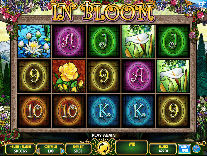 Bloom Bloom