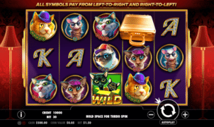 Free The Catfather Part II Slot Online