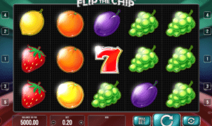 Free Flip The Chip Slot Online