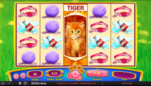 Omg Kittens Free Online Slot