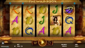 The Wild Book Free Online Slot