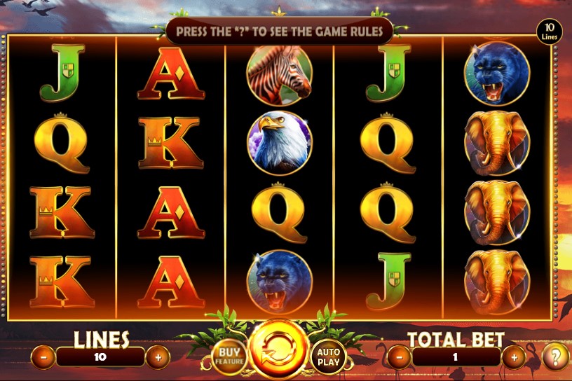 African Fortune