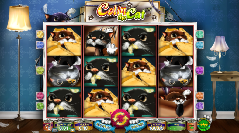 Colin the Cat