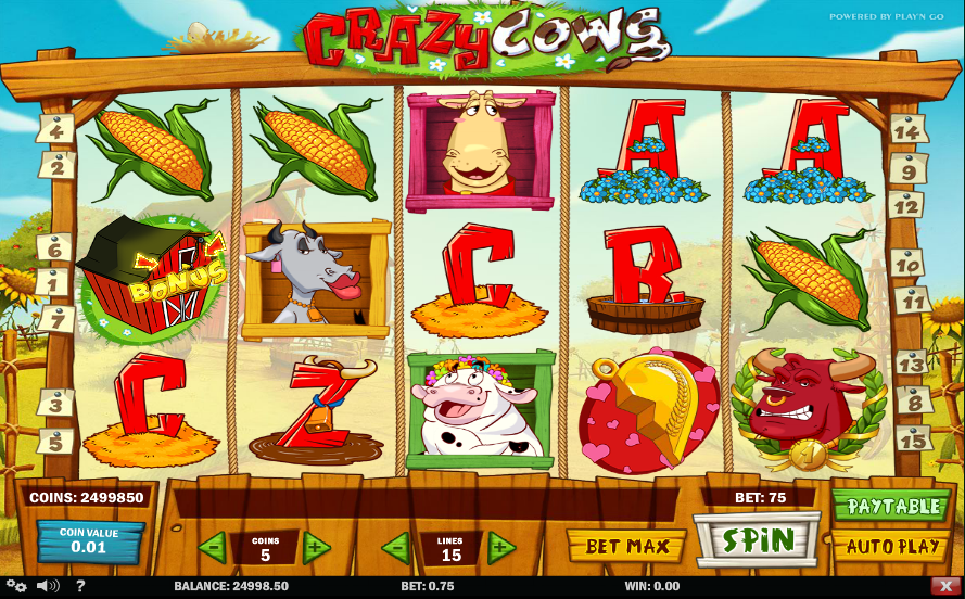 Crazy Cows