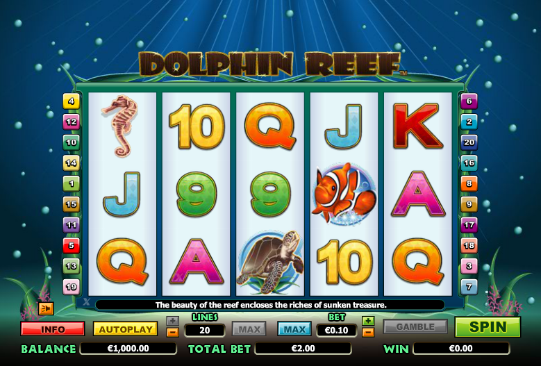 Dolphin Reef