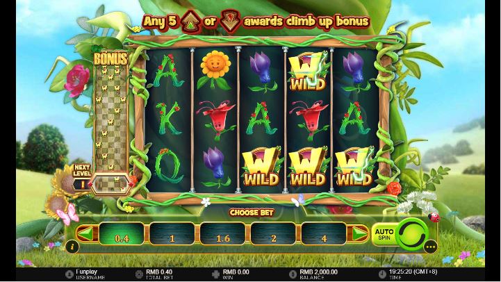 Wilds and The Beanstalk