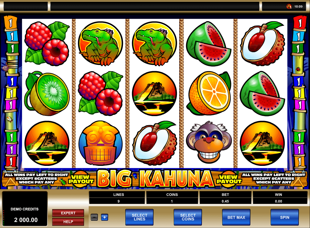 Big Kahuna free online slot machine