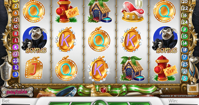 free slot machine diamond dogs
