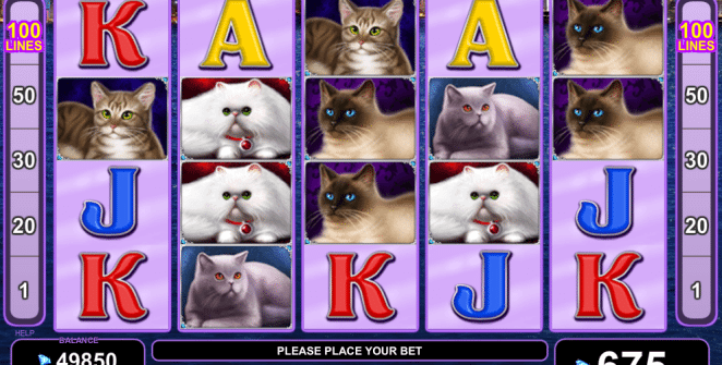 Free Online Slot 100 Cats