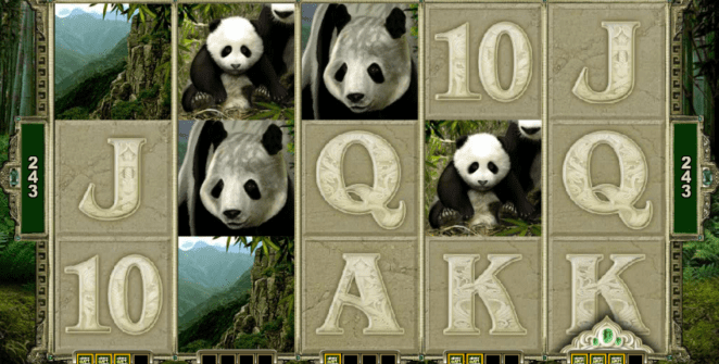 Untamed Giant Panda Free Online Slot