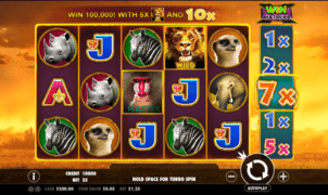 Hot Safari Free Online Slot