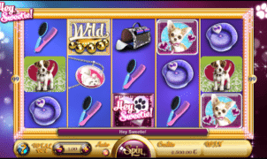 Slot Machine Hey Sweetie! Online Free