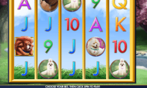 Slot Machine A Bark in the Park Online Free