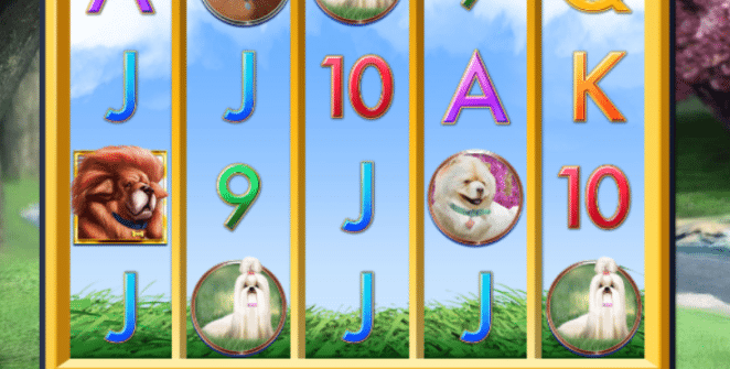 Slot Machine A Bark in the Park Online Free