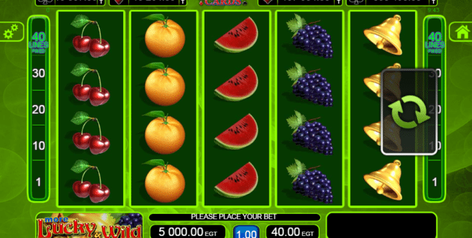 Slot Machine More Lucky and Wild Online Free