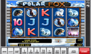 Polar Fox Free Online Slot