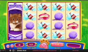 Omg Kittens Free Online Slot