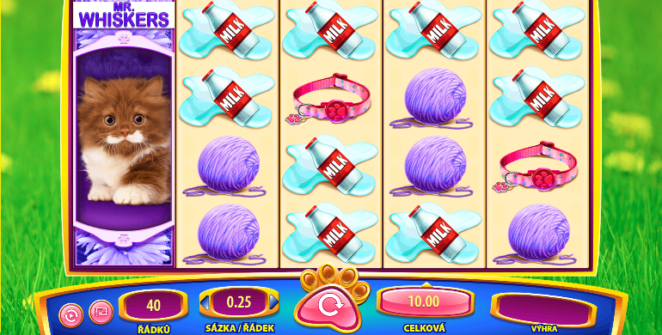 Omg Kittens Free Online Slot