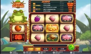 Free Leap of Fortune Slot Online